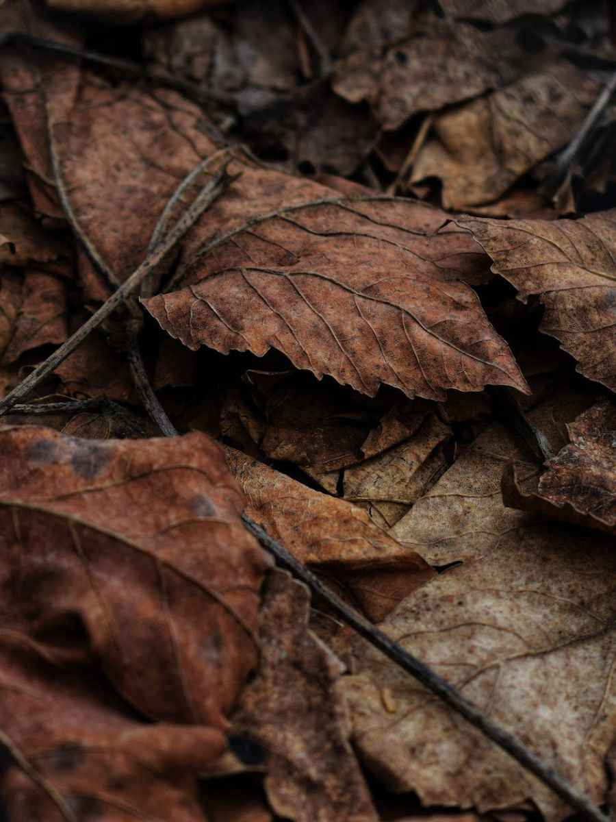 Recognize and Reflect